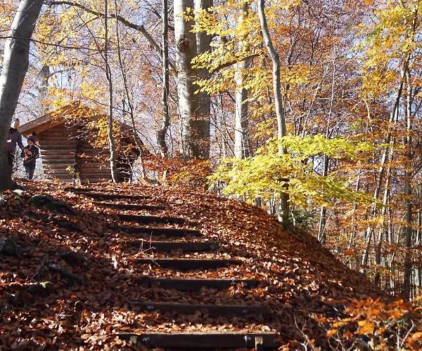 Apartmán Gemuetliches Haus Mit Sauna Im Voralpenland Peißenberg
